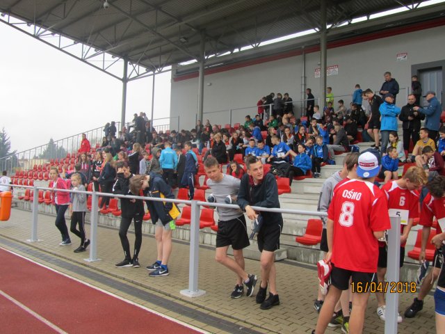 sztaf 4